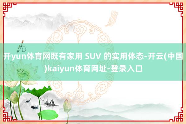 开yun体育网既有家用 SUV 的实用体态-开云(中国)kaiyun体育网址-登录入口